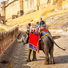 amber fort elephant ride