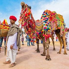 camel fair