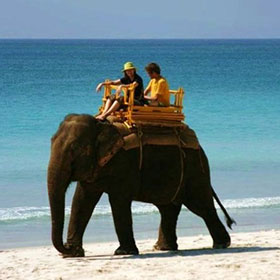 elephant beach