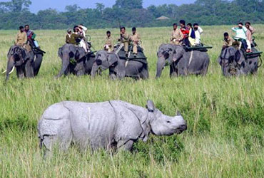 kaziranga national park