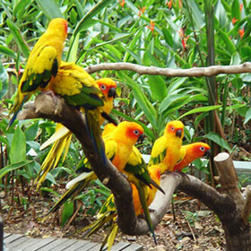 kumarakoram bird sanctuary