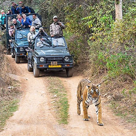 ranthambore jeep safari