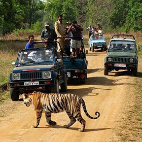 ranthambore jeep safari