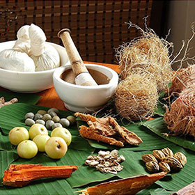 spa ayurveda