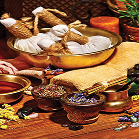 special ayurveda